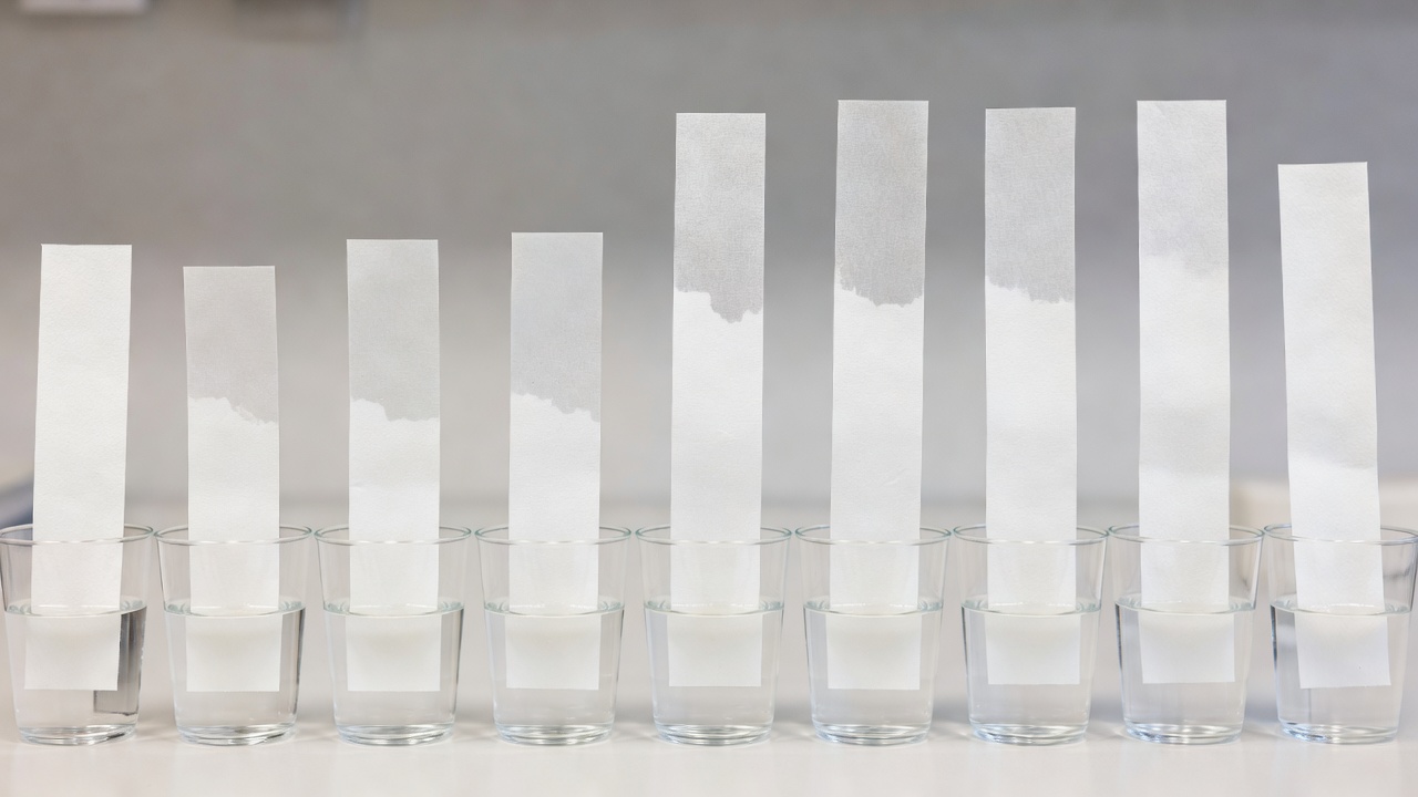 Paper towel strips standing in shallow cups of water for a capillary-action comparison
